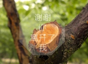 雷火电竞网址-底格里斯河的绿茵风暴，2026世界杯F组，德容在乌拉圭与伊拉克的宿命对决中，用一脚未来解构了历史